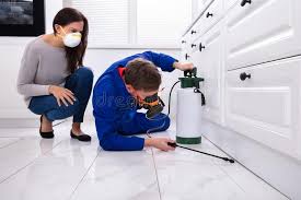 Professional Pest control in Mount Vernon, IL